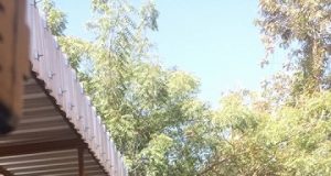 Burkina : réflexion sur les formes de dédommages impliqués par le second Compact