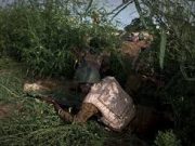 Lutte contre le terrorisme au Burkina Faso: s’unir ou périr!
