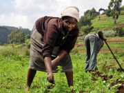 Agriculture: la RDC pourrait nourrir le quart de l’humanité