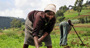 Appel à participation au «Prix du Journalisme pour la Promotion du Monde rural»