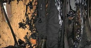 Burkina: des individus mettent le feu au véhicule d’un journaliste d’investigation