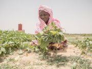 Sahel central: l’ONU tire la sonnette d’alarme face à l’aggravation de la crise humanitaire