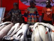 Ouagadougou: le gouvernement rassure sur la qualité du poisson commercialisé