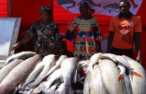 Ouagadougou: le gouvernement rassure sur la qualité du poisson commercialisé