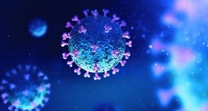 Coronavirus au Burkina: l’état de santé de la patiente de Dano « est stable »