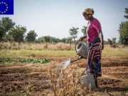 8-mars: L’Union Européenne, toujours aux côtés des femmes du Burkina Faso et du monde