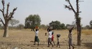 Faim dans le monde: un besoin urgent de renforcer les systèmes alimentaires