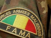Mali: une série de frappes ciblées contre des refuges des terroristes
