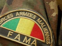 Mali: une série de frappes ciblées contre des refuges des terroristes