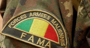 Mali: une série de frappes ciblées contre des refuges des terroristes
