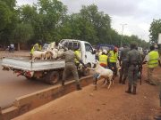 Ouagadougou: plus de 200 moutons capturés