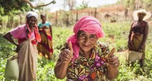 Francophonie: un appel à projets du nouveau Fonds de solidarité pour les femmes