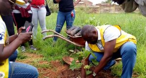 Santé: le Lions club Ouaga Keneya plante utile