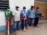 Trafic d’espèces protégées : 5 présumés trafiquants déférés à la prison civile de Lomé