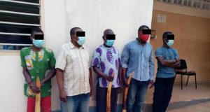 Trafic d’espèces protégées : 5 présumés trafiquants déférés à la prison civile de Lomé