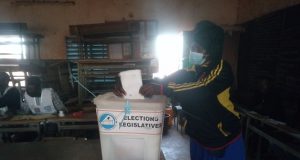 Législatives 2020 au Burkina: plus de 10 ministres élus députés
