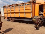Afrique de l’ouest : INTERPOL saisit des armes, de munitions et de produits de contrebande