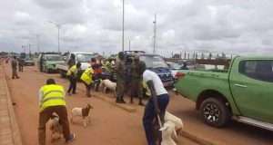 Ouagadougou: la police municipale met en fourrière 150 animaux en divagation