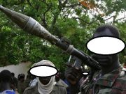 Centrafrique: la quatrième ville Bambari aux mains des rebelles