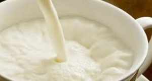Covid-19: une marche virtuelle pour sauver le lait local ouest-africain