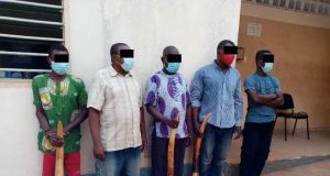 Criminalité faunique au Togo : 5 trafiquants de défenses d’éléphant condamnés