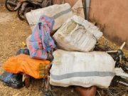 Bobo-Dioulasso: la Douane saisit « 245 Kg de cannabis » estimés à plus de « 24 millions FCFA »