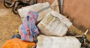 Bobo-Dioulasso: la Douane saisit « 245 Kg de cannabis » estimés à plus de « 24 millions FCFA »