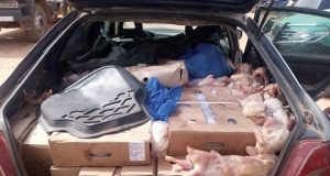 Burkina: toute importation de denrées alimentaires d’origine animale est soumise à une autorisation