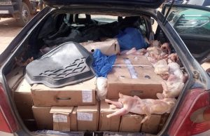 Burkina: toute importation de denrées alimentaires d’origine animale est soumise à une autorisation