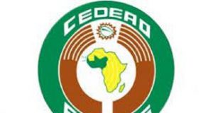 Système de stockage de sécurité alimentaire en Afrique de l’Ouest : la CEDEAO souhaite construire un partenariat multilatéral