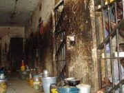 Nigeria : plus de 1 800 détenus s’évadent après une attaque dans une prison