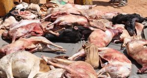Ouaga: la Police municipale saisit plus de 26 carcasses de petits ruminants abattus clandestinement