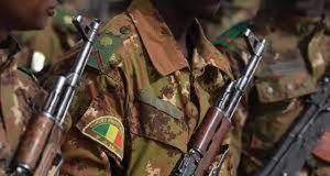 Mali: une cinquantaine de terroristes neutralisés