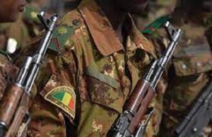 Mali: incessant cycle de coups d’Etat?