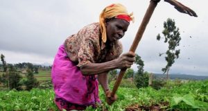 Sommet de Paris sur les économies africaines: n’est-il pas temps de couper le cordon ombilical?