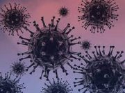 Covid-19 : baisse du taux de contamination partout dans le monde, sauf en Afrique
