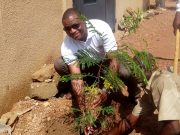 Cité Baobab: le savoir-faire dans la construction et la préservation de la nature de CGE Immobilier