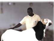 Sénégal: il refuse de vendre son mouton à 52 millions de FCFA
