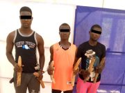 Togo: trois présumés trafiquants de défenses d’éléphants en prison