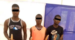 Togo: trois présumés trafiquants de défenses d’éléphants en prison