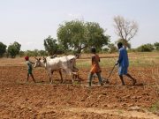 Burkina/Région de l’Est : la pratique de l’agriculture interdite par les terroristes dans la province de la Komandjari