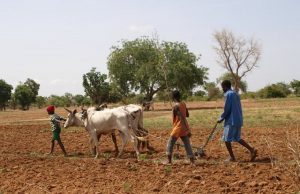 Burkina/Région de l’Est : la pratique de l’agriculture interdite par les terroristes dans la province de la Komandjari