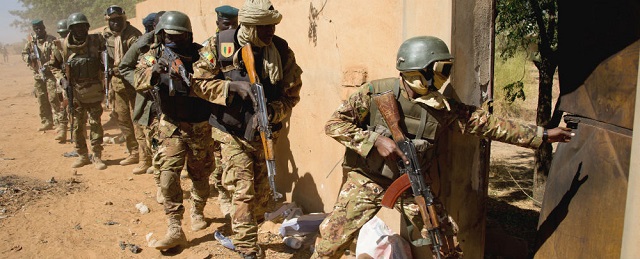 Sahel Force Conjointe