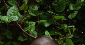 Salamata Sawadogo, bachelière à 64 ans: « Cette époque exige le BAC au minimum pour toute femme »