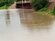 Fleuve Mouhoun: l’augmentation de la turbidité, la cause de la mort des poissons