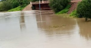 Fleuve Mouhoun: l’augmentation de la turbidité, la cause de la mort des poissons