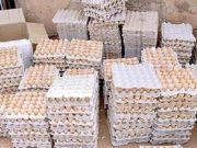 Burkina: 15 210 œufs impropres à la consommation incinérés à Pô