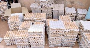 Burkina: 15 210 œufs impropres à la consommation incinérés à Pô