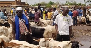 Tabaski au Burkina: les moutons de la vie chère