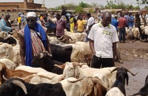 Tabaski au Burkina: les moutons de la vie chère